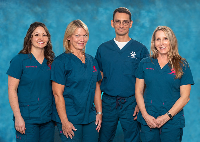 Animal Health Care Clinic Veterinarians, Clearwater FL